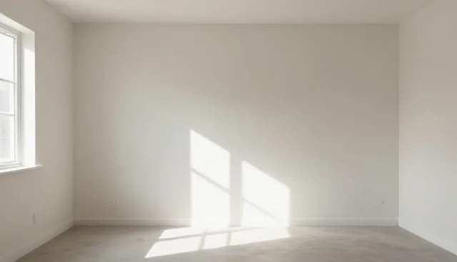 服务定制：安装调试操作流程与使用维护建议